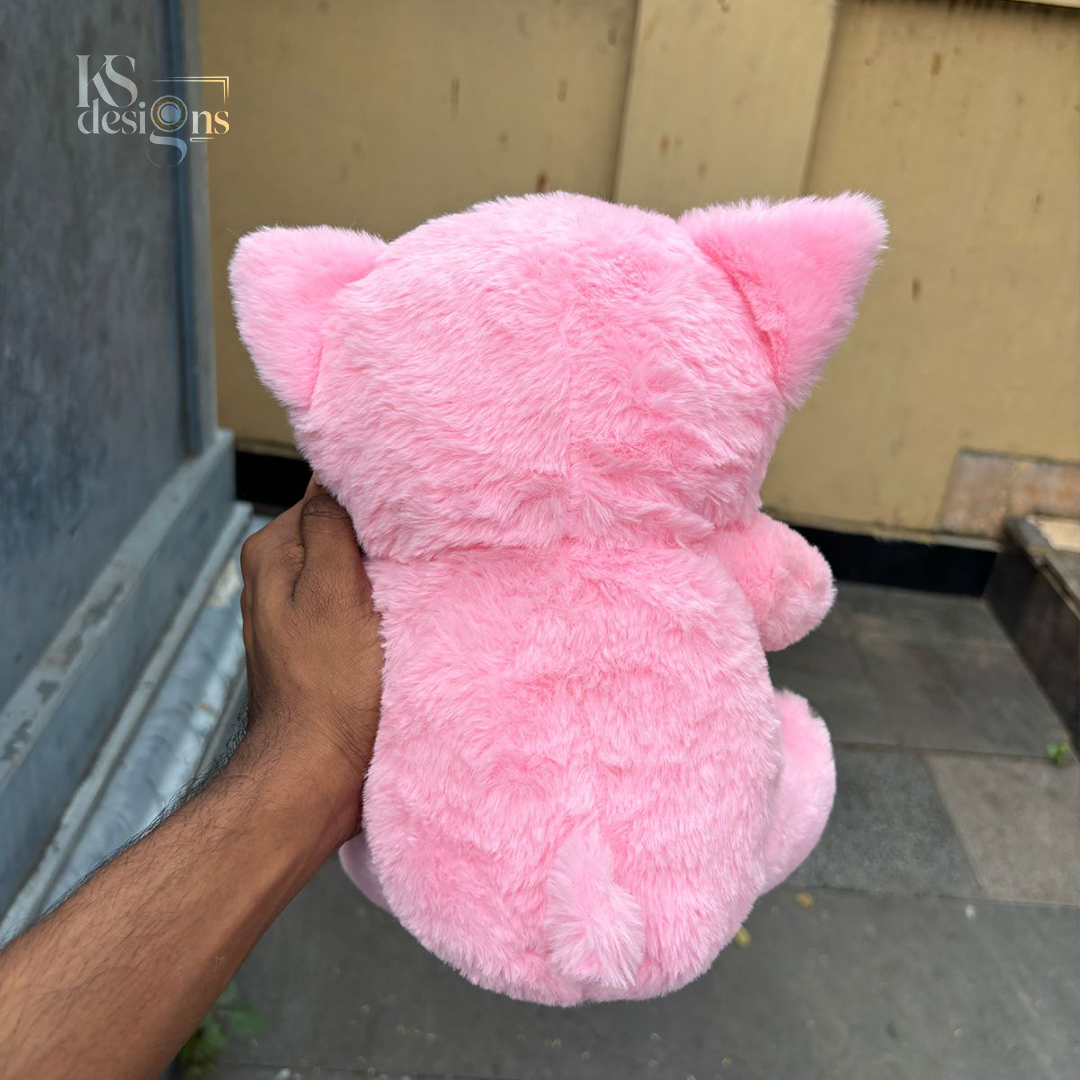 Hoodie Teddy Bear Hoodie Bear Teddy