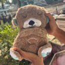 Breathing Teddy - Brown