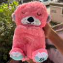 Breathing Teddy - Pink